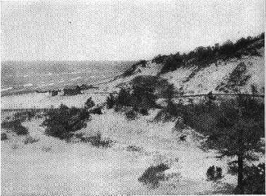 THE INDIANA SAND-DUNES AND LAKE MICHIGAN SHORE